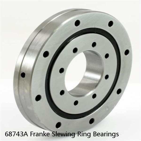 68743A Franke Slewing Ring Bearings