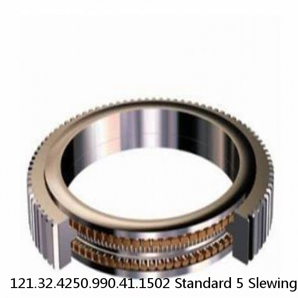 121.32.4250.990.41.1502 Standard 5 Slewing Ring Bearings