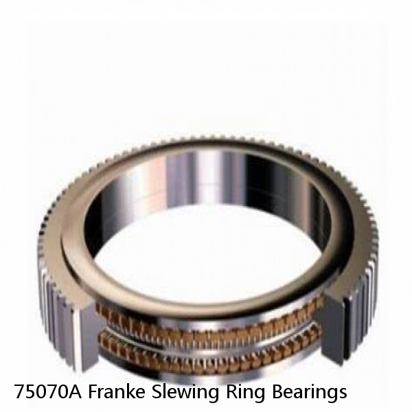 75070A Franke Slewing Ring Bearings