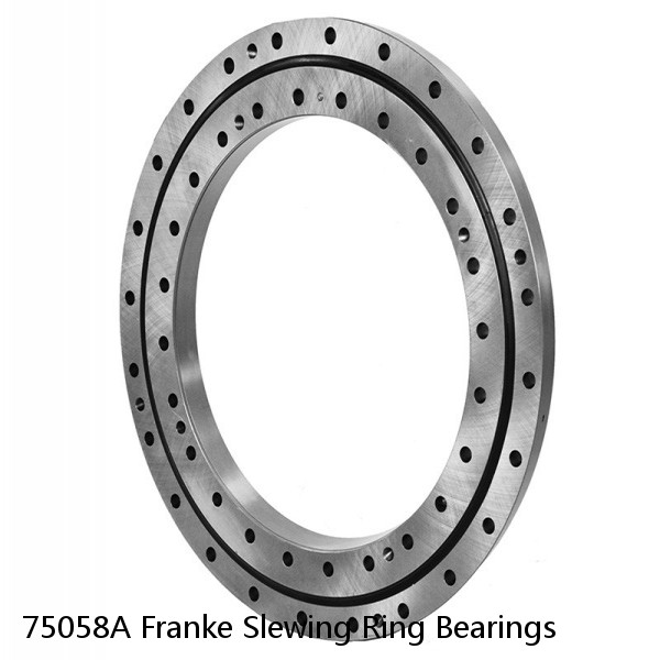 75058A Franke Slewing Ring Bearings