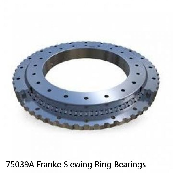 75039A Franke Slewing Ring Bearings