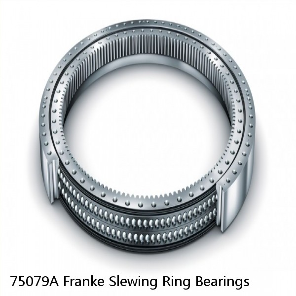 75079A Franke Slewing Ring Bearings