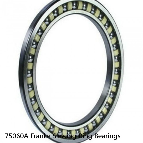 75060A Franke Slewing Ring Bearings