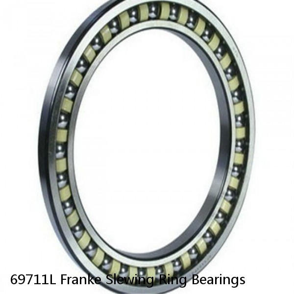 69711L Franke Slewing Ring Bearings