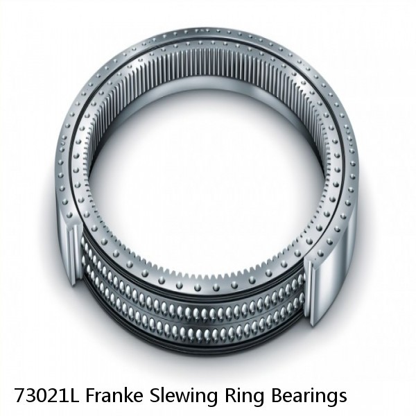 73021L Franke Slewing Ring Bearings