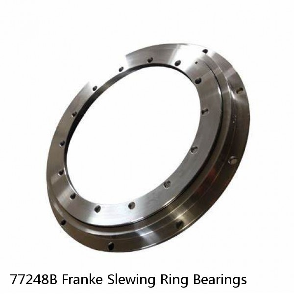 77248B Franke Slewing Ring Bearings