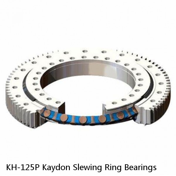 KH-125P Kaydon Slewing Ring Bearings