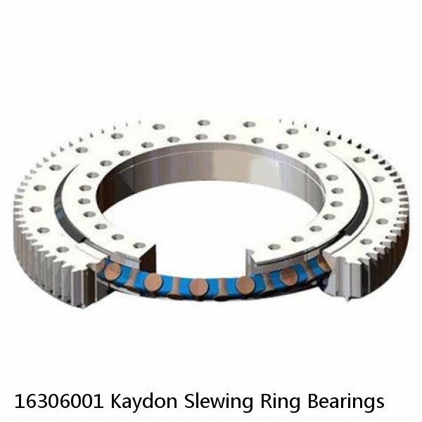 16306001 Kaydon Slewing Ring Bearings