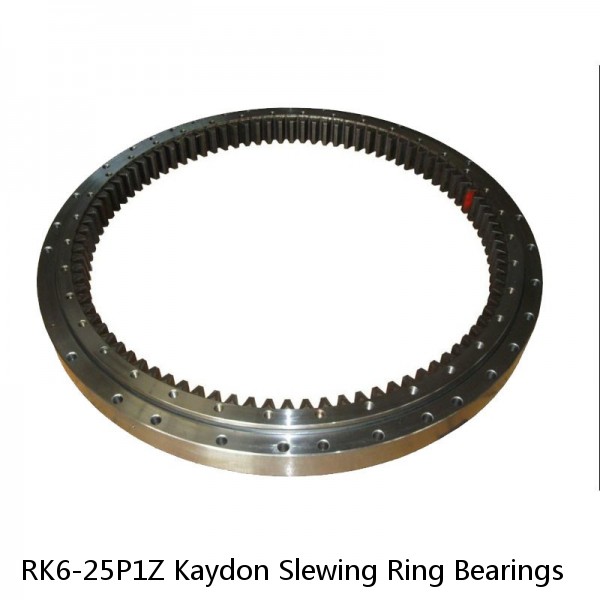 RK6-25P1Z Kaydon Slewing Ring Bearings