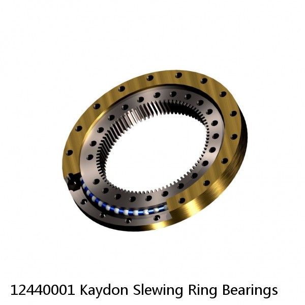 12440001 Kaydon Slewing Ring Bearings