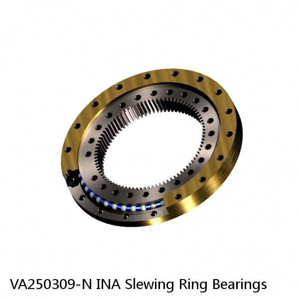 VA250309-N INA Slewing Ring Bearings