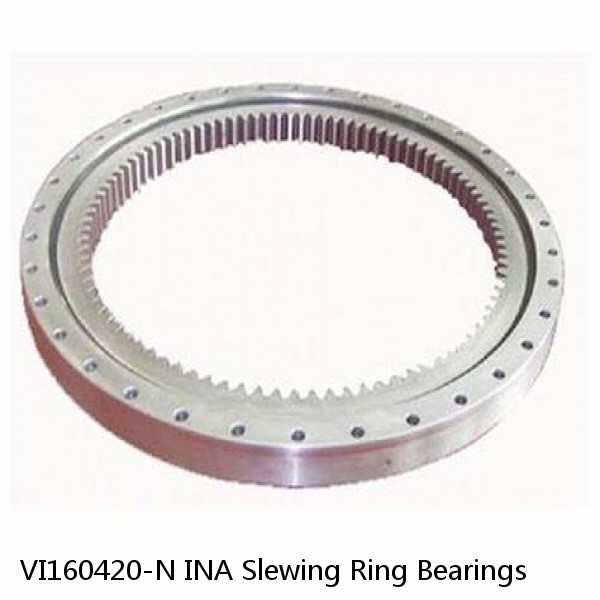 VI160420-N INA Slewing Ring Bearings