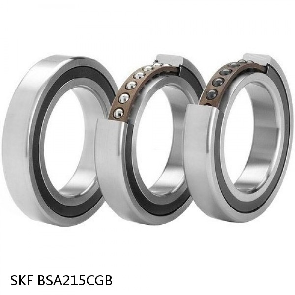 BSA215CGB SKF Brands,All Brands,SKF,Super Precision Angular Contact Thrust,BSA