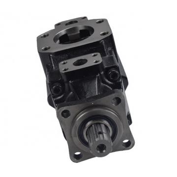 DENISON T6CC-022-014-2R00-C100 vane pump